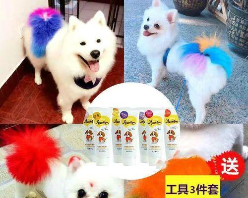 文章详情图片