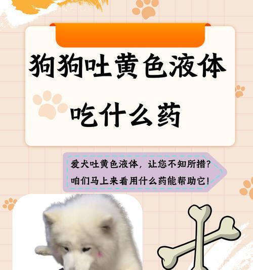 文章详情图片