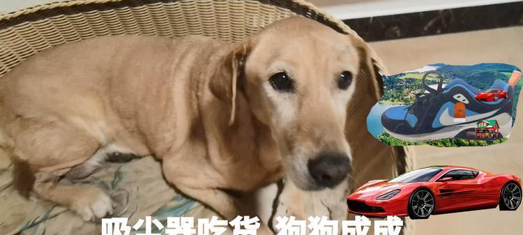 文章详情图片