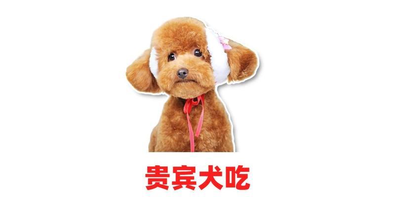 文章详情图片