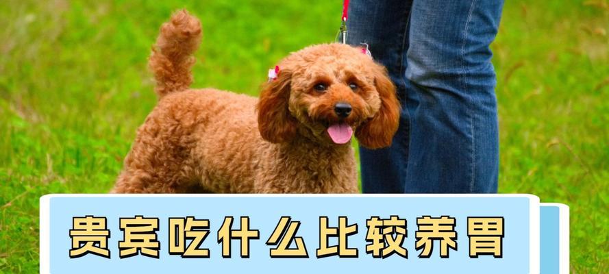 文章详情图片