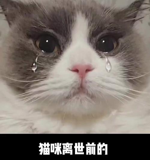 文章详情图片