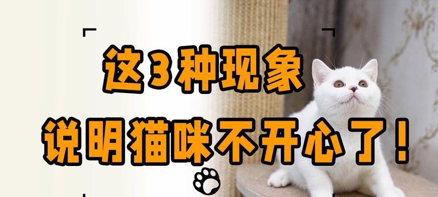 文章详情图片