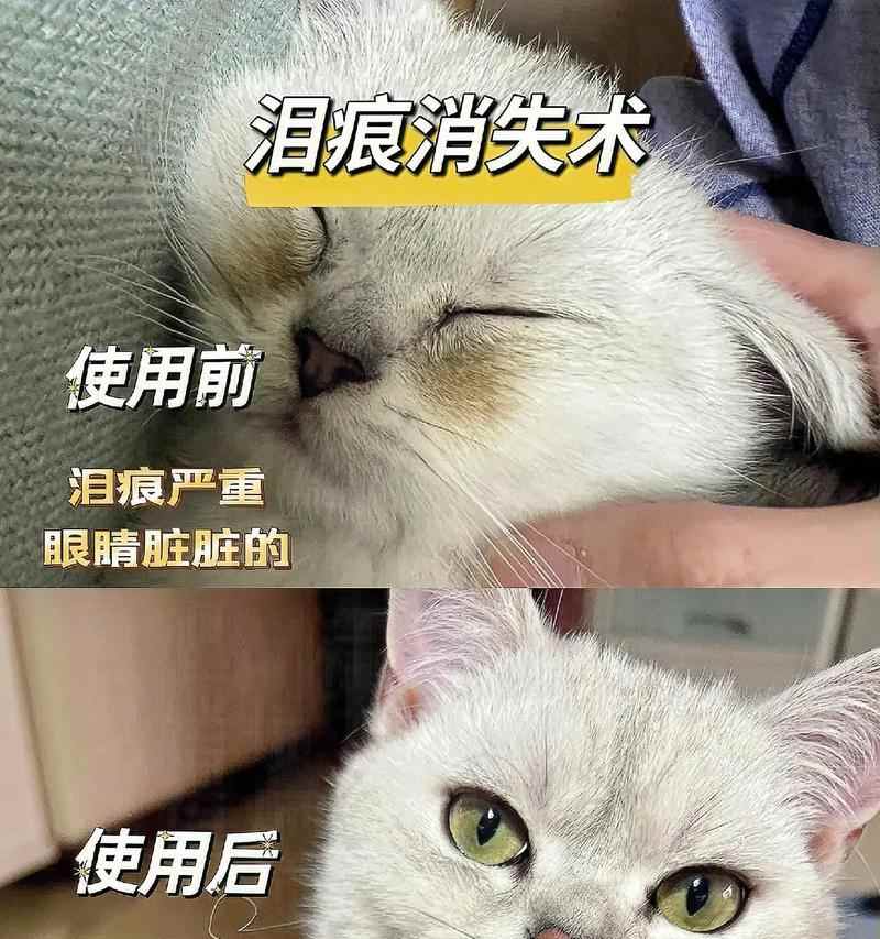 文章详情图片