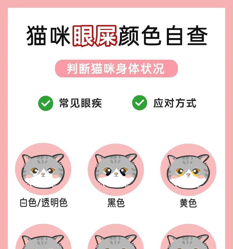 文章详情图片