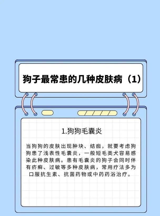 文章详情图片