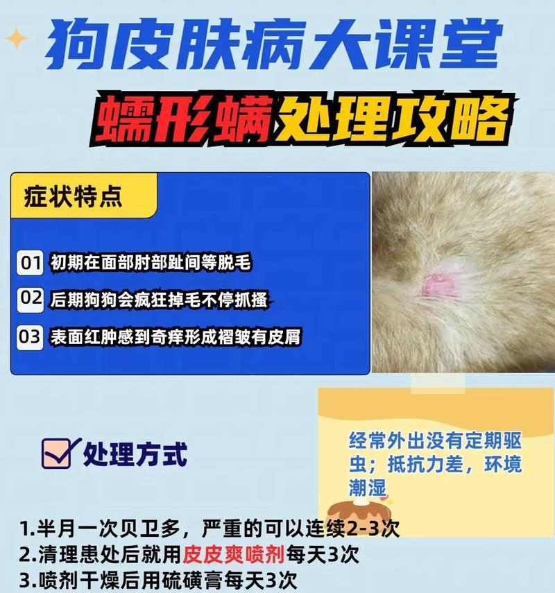 文章详情图片