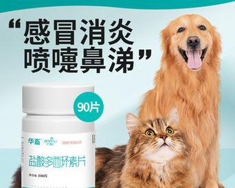 文章详情图片