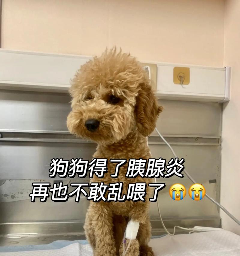 文章详情图片
