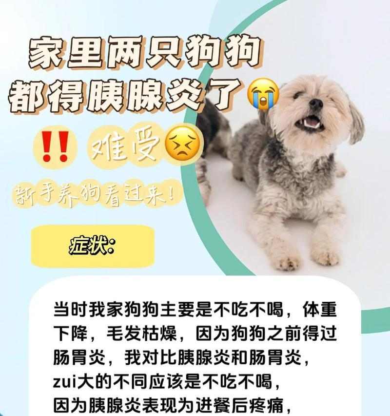 文章详情图片