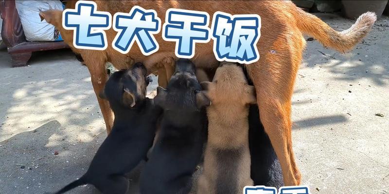 文章详情图片