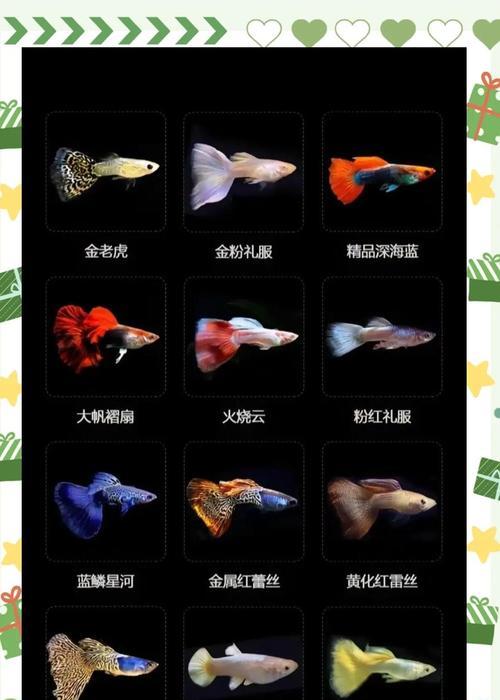 文章详情图片