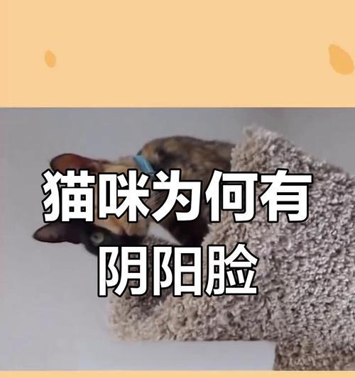 文章详情图片