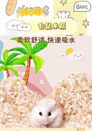 文章详情图片