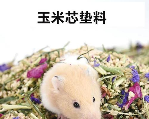 文章详情图片