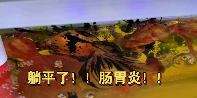文章详情图片