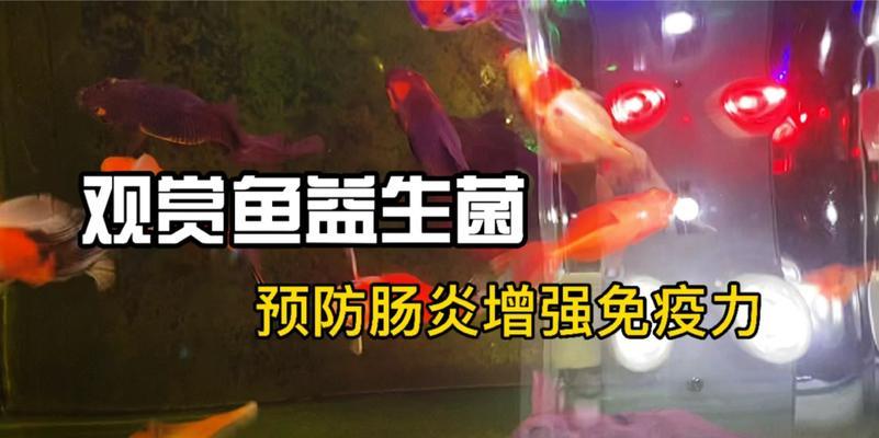 文章详情图片