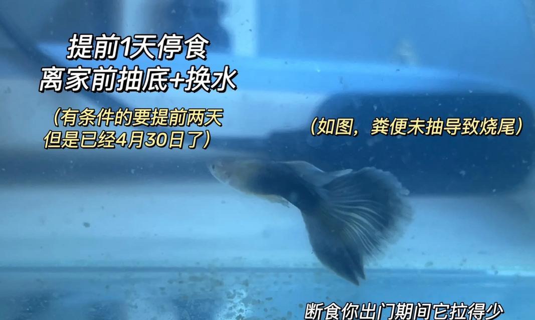 文章详情图片