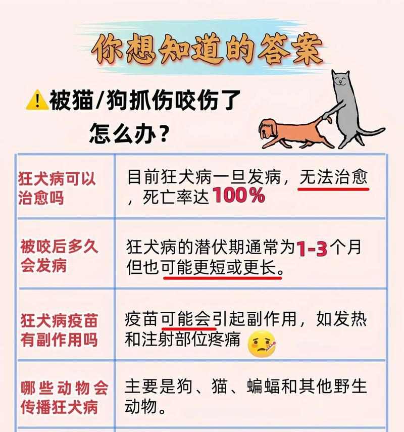 狂犬病（揭秘狂犬病对宠物寿命的影响及预防措施）