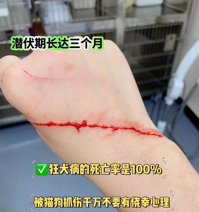 文章详情图片