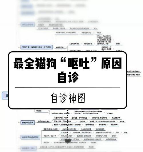 文章详情图片