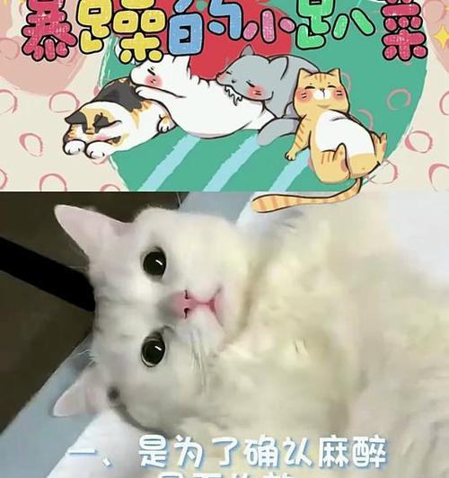 文章详情图片