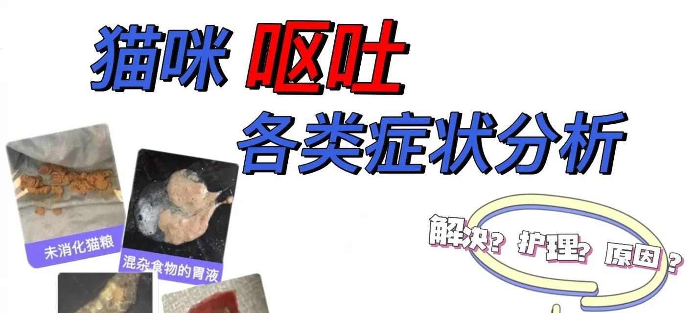 文章详情图片