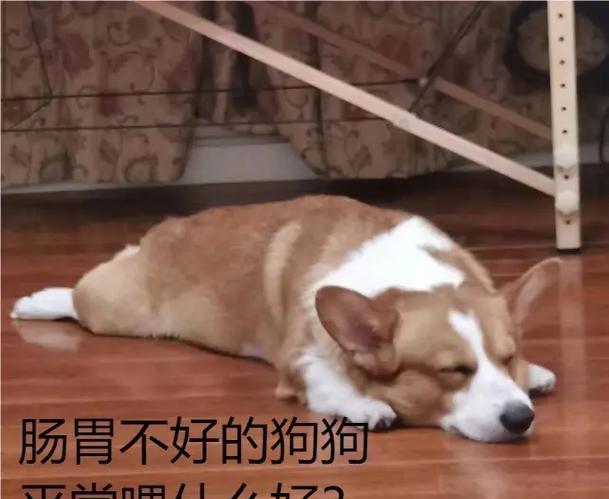文章详情图片