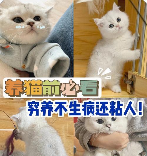 文章详情图片