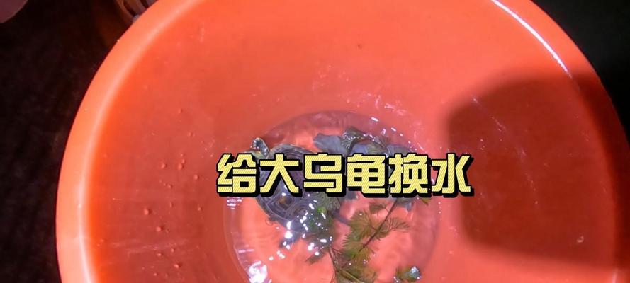 文章详情图片