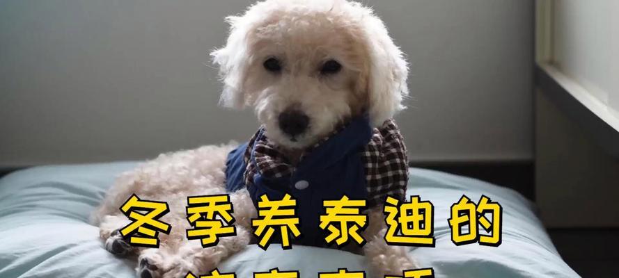 文章详情图片