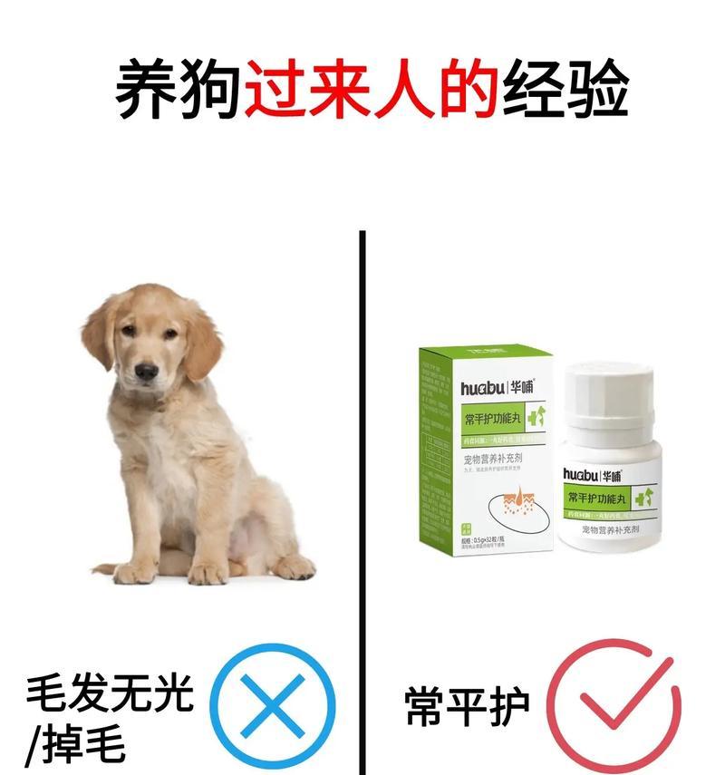 文章详情图片