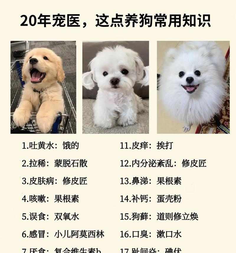文章详情图片
