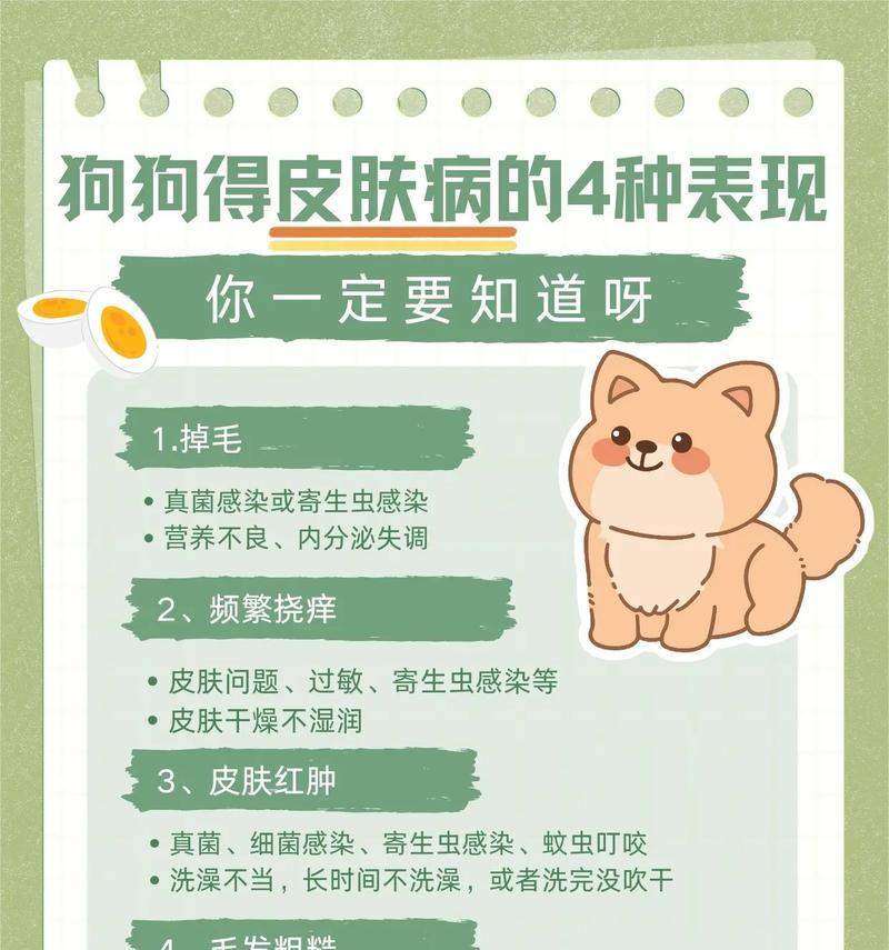 文章详情图片