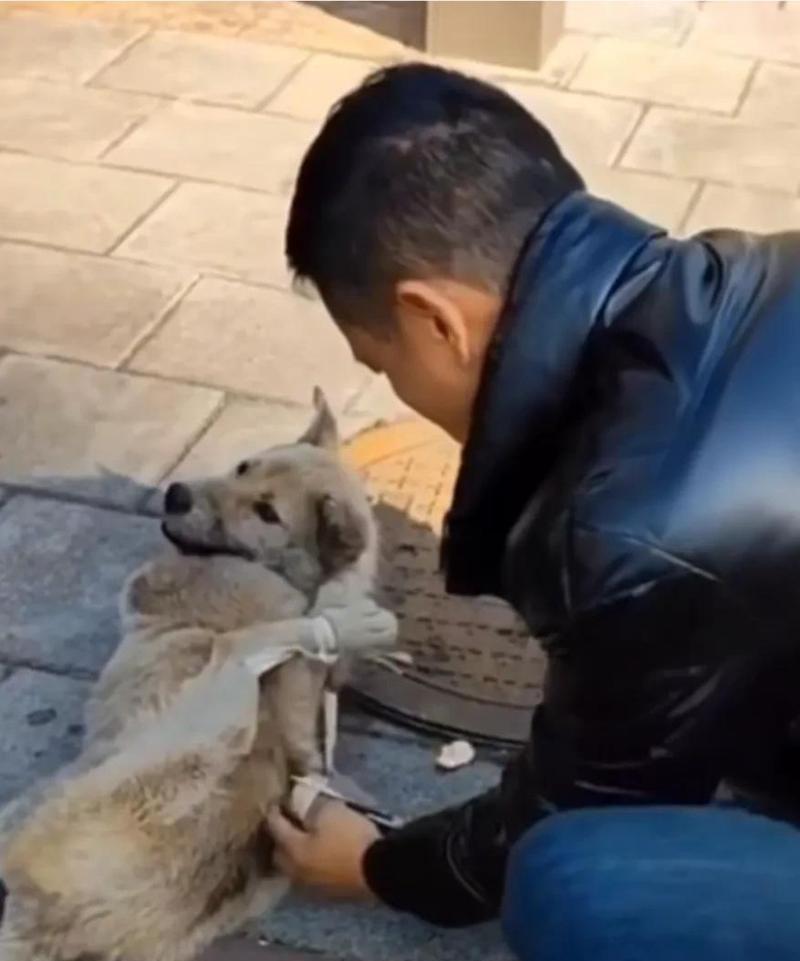 文章详情图片