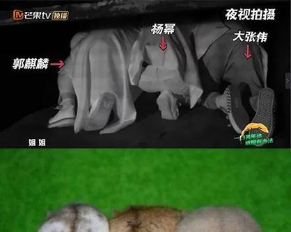文章详情图片