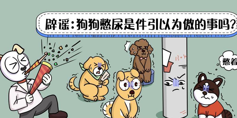 文章详情图片