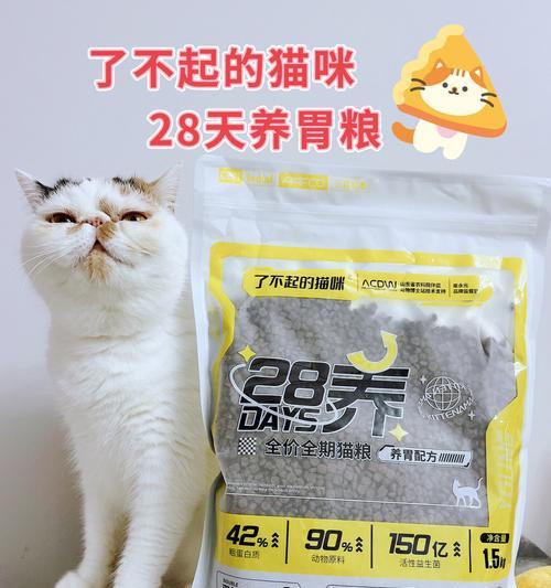 文章详情图片