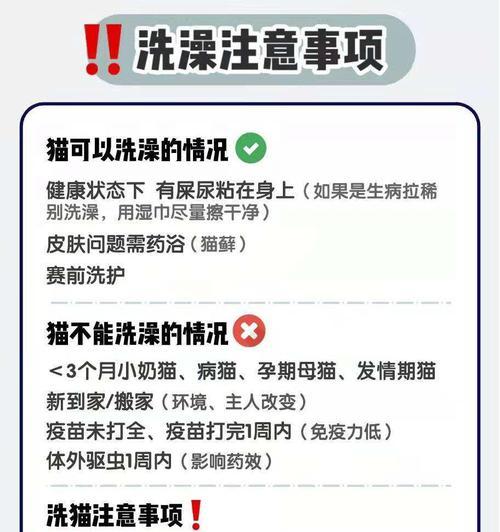 文章详情图片