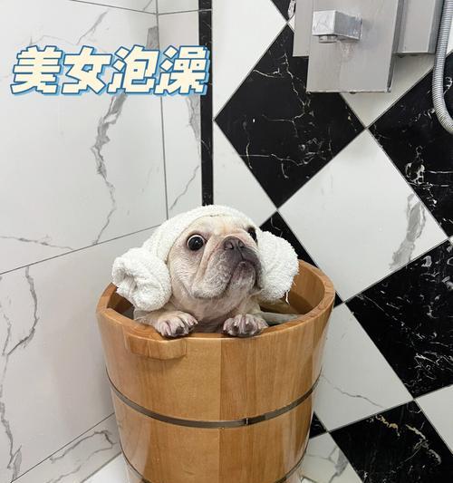 文章详情图片