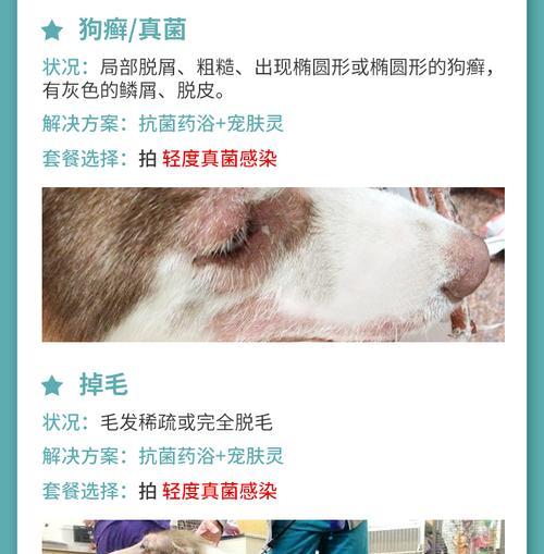 文章详情图片