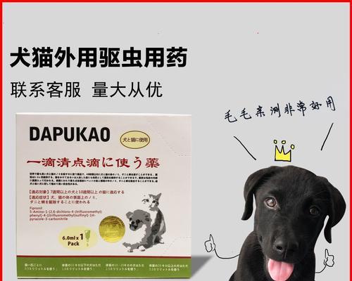 文章详情图片