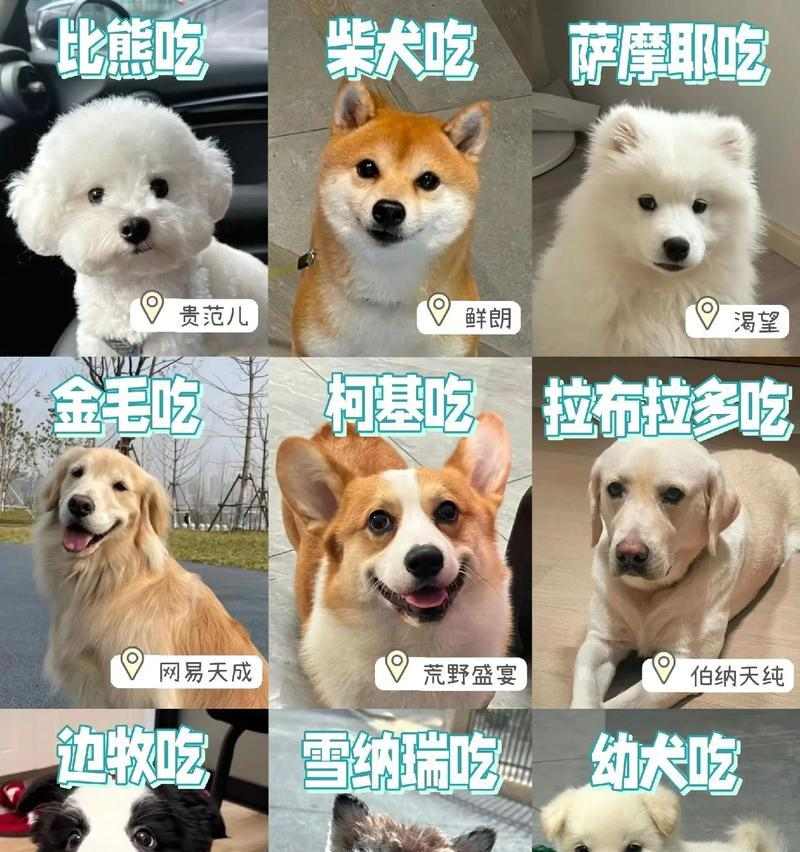 文章详情图片