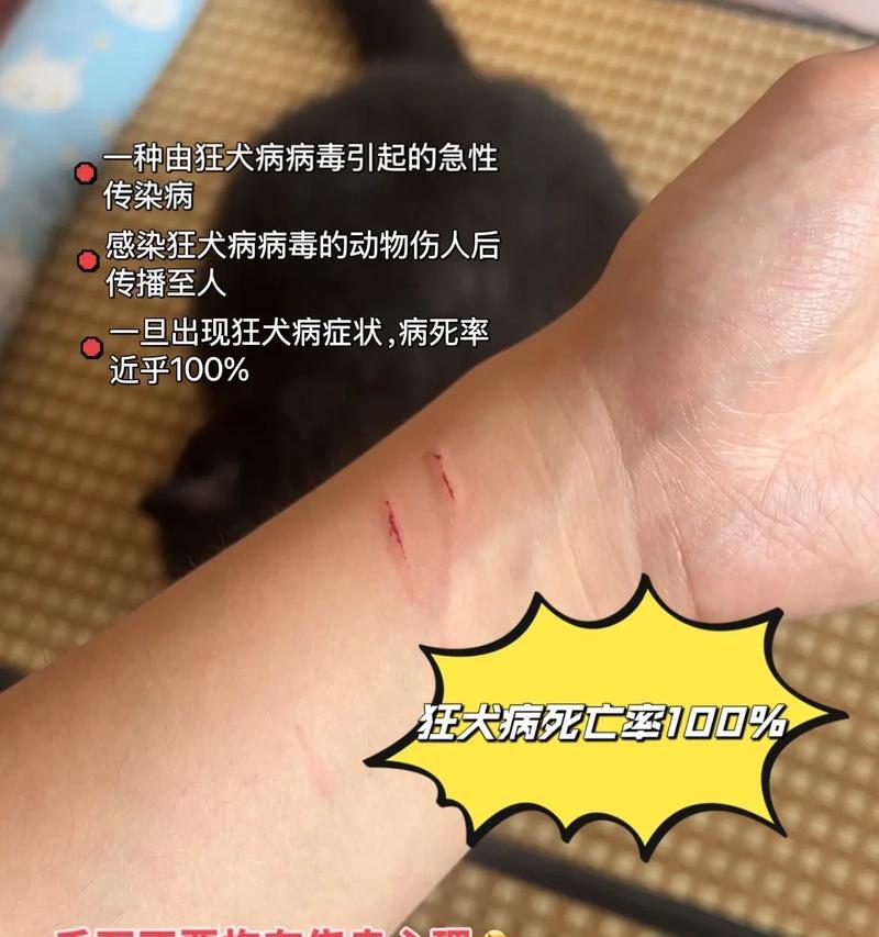 文章详情图片