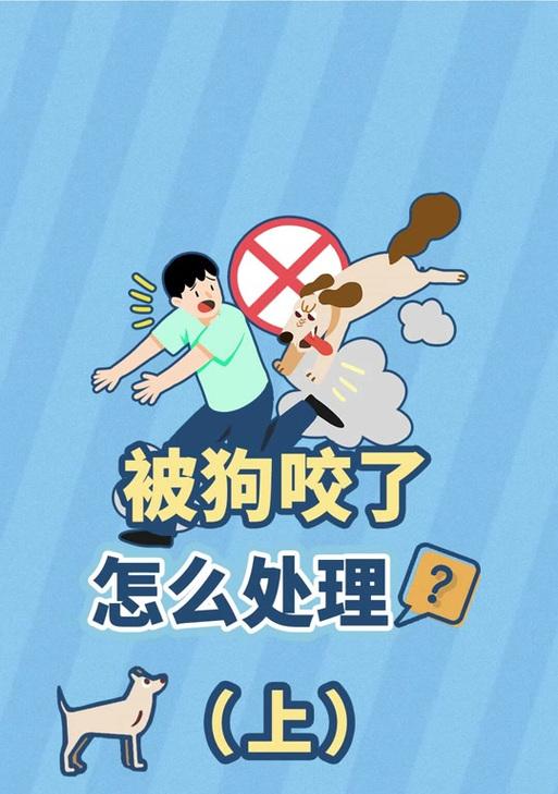文章详情图片