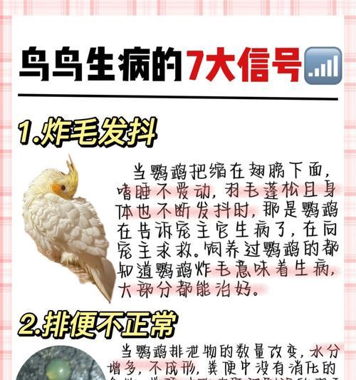 文章详情图片