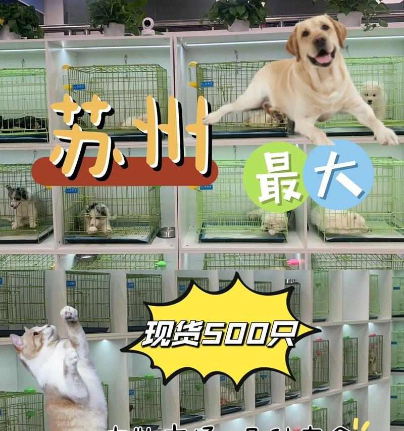 文章详情图片