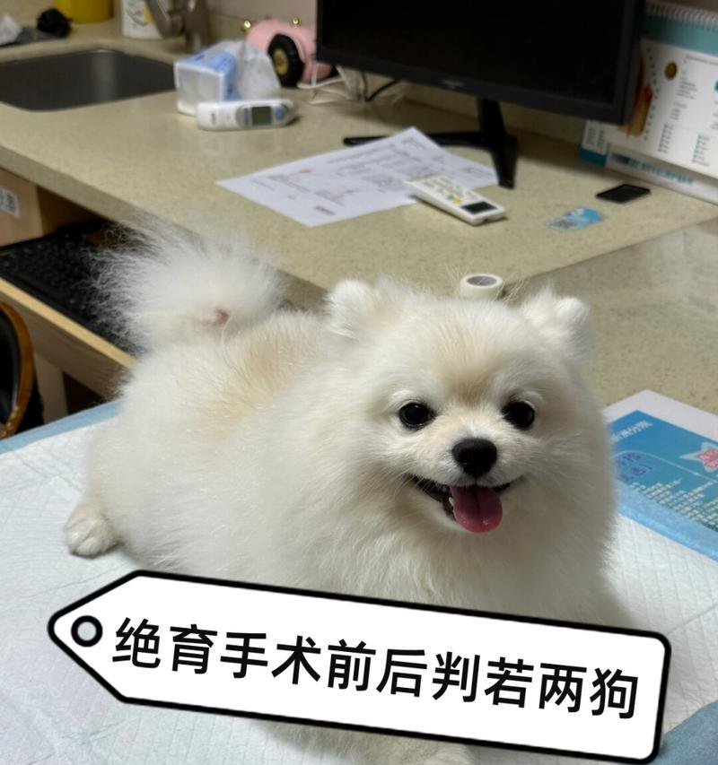 文章详情图片