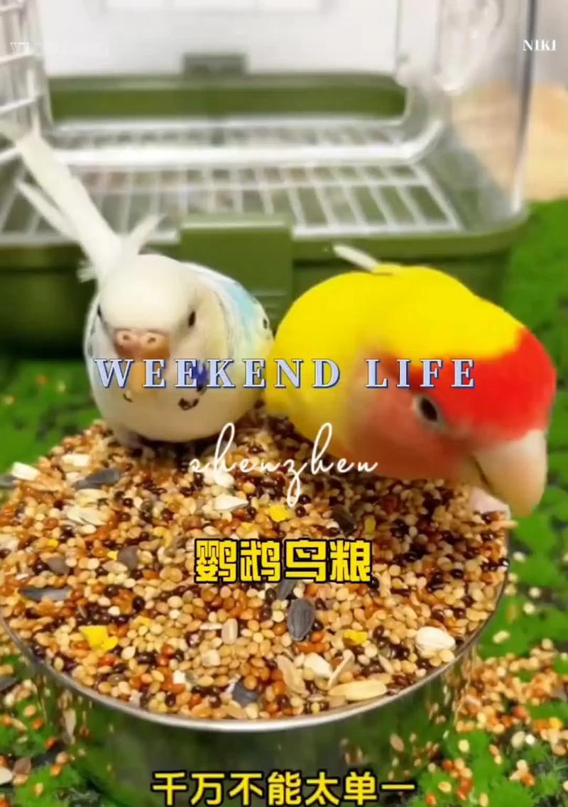 文章详情图片