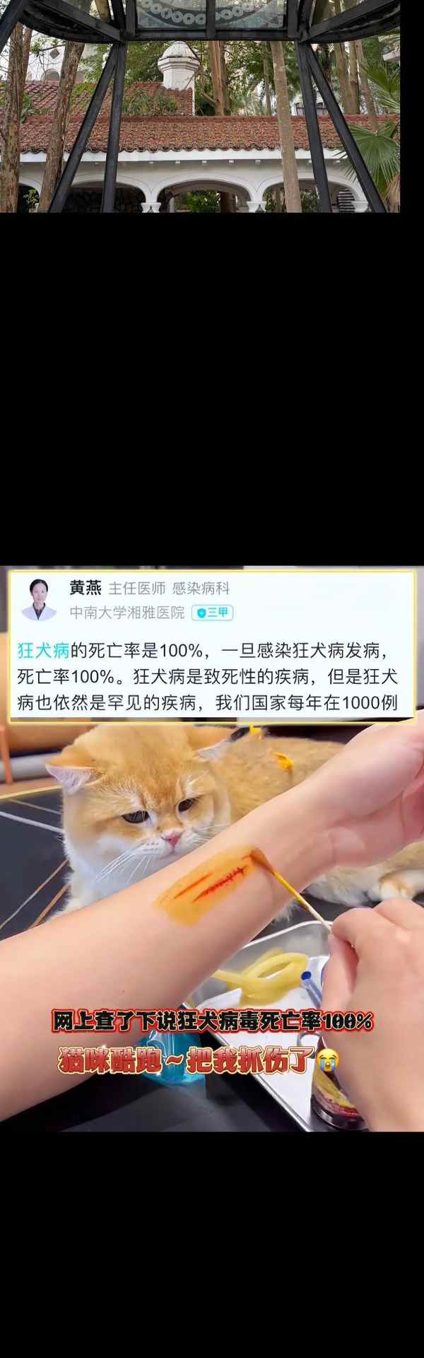 文章详情图片
